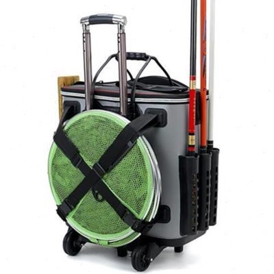 p-size-s-fish and multi-purpose live-fish cans with barreled fish